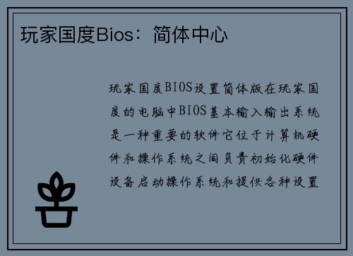 玩家国度Bios：简体中心